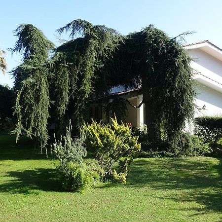Villa Paradiso Le Rughe Dış mekan fotoğraf