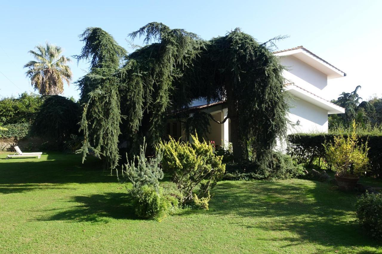 Villa Paradiso Le Rughe Dış mekan fotoğraf